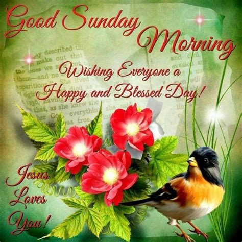 Search, discover and share your favorite happy sunday good morning gifs. Good Sunday Morning Pictures, Photos, and Images for ...