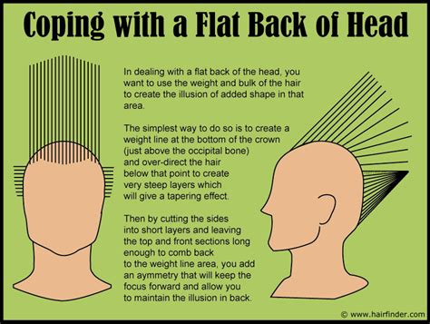 The very back part of your skull is called the occipital bun. Hairstyles for men with a flat back of the head