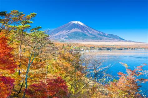 Mt Fuji Japan With Fall Foliage Stock Image Image Of Leaves Nature