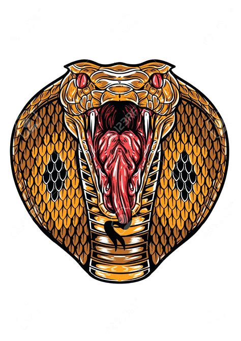 King Cobra Head Drawing Free Download On Clipartmag