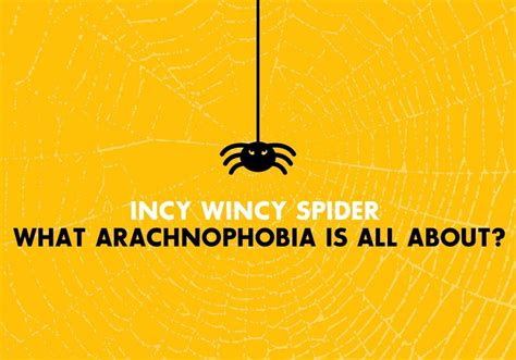 What Is Spider Phobia Arachnophobia And Why Is It Different