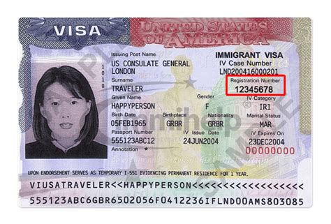Alien Registration Number For Us Green Card A Number From Uscis