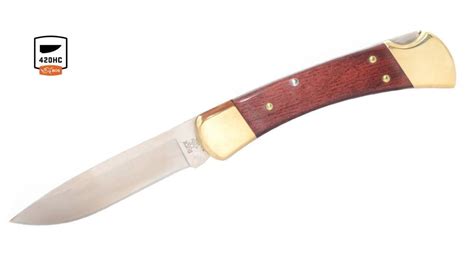 Buck Knives 110 Rosewood Drop Point Folding Hunter Knife Exclusive
