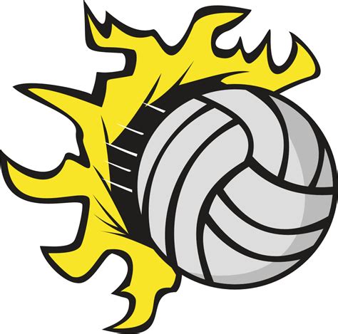 Volleyball Logo Design