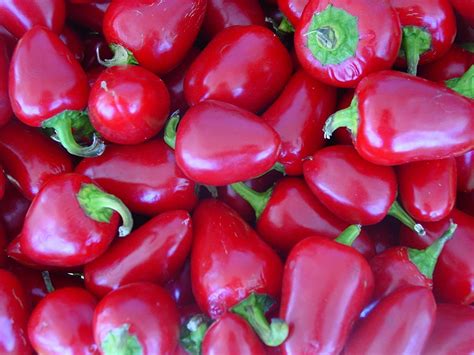 hot pepper seeds~hot cherry~300 seeds garden and outdoor