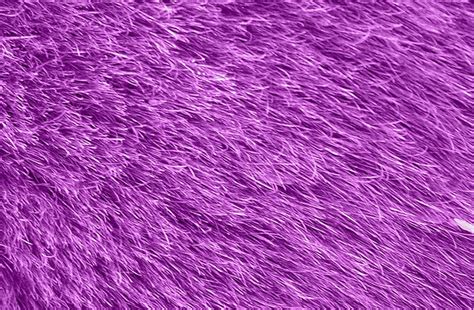 Free Fur Texture Stock Photo