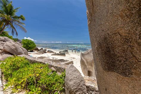 Paradise Beach On Seychelles Island La Digue Stock Photo Image Of