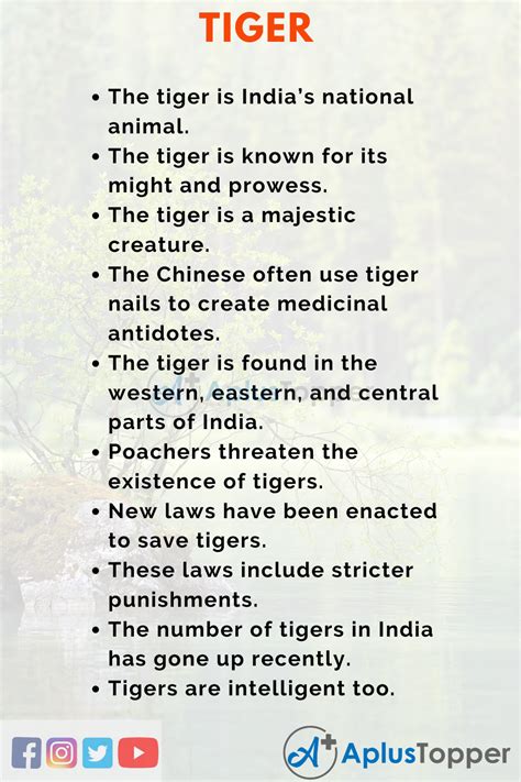 My Favorite Animal Tiger Essay In English