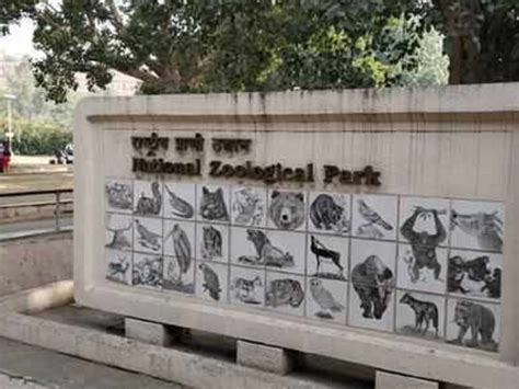 Delhi Zoo