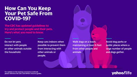 Anyone who had a severe reaction to a. How can you keep your pet safe from COVID-19? The CDC issues new guidelines