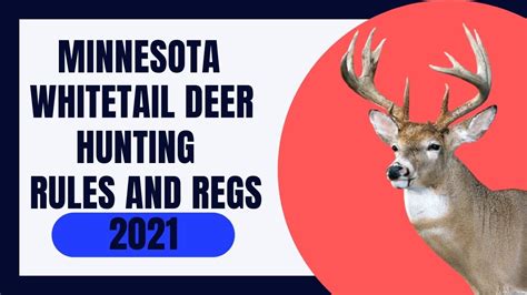 Minnesota Whitetail Deer Hunting Rules And Regs 2021 Youtube