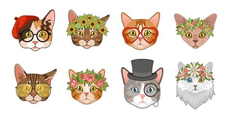 Cat Heads Cute Funny Cats Avatar Muzzles With Accessories Portraits