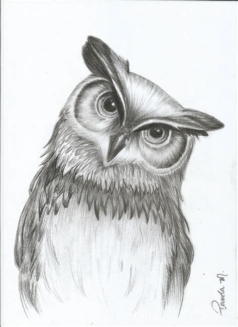 İrem 05307305195 In 2020 Owls Drawing Pencil Drawings Of Animals