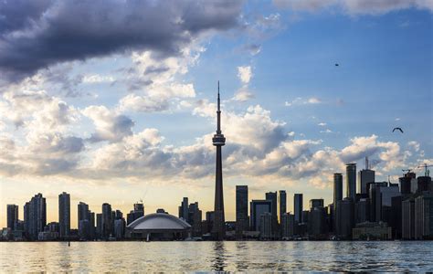 The cn tower rises to a breathtaking height above downtown toronto providing visitors with so just how tall is the cn tower? 17 Fascinating Facts About Toronto's CN Tower