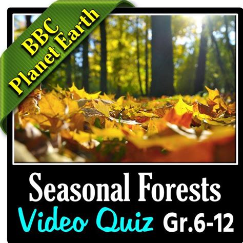 Planet Earth Seasonal Forests Video Quiz Editable Quiz Planet