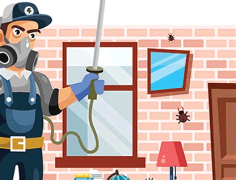 No problem!bug guys pest control of cathedral city, ca is here to help.serving the coachella valley area for over 20 years, we have over 20,000 satisfied customers. Rabbits - The Fluffy, Summertime Nuisance In Yards - No ...