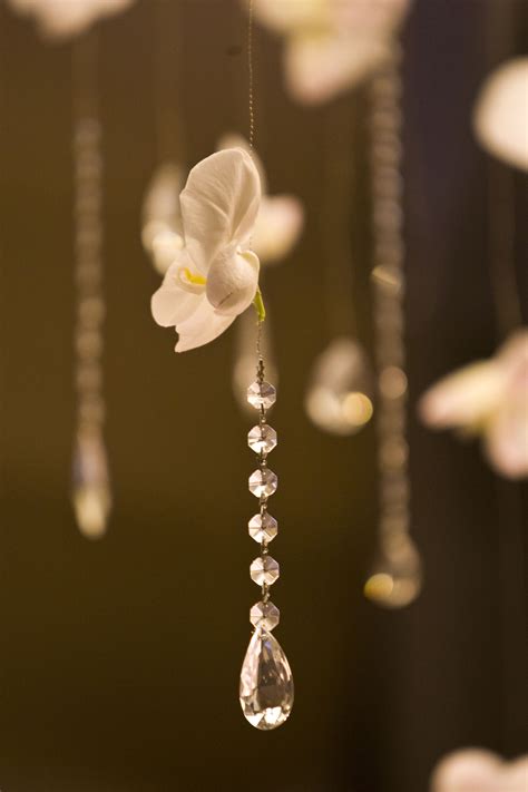 Floral Design With Orchids And Crystals