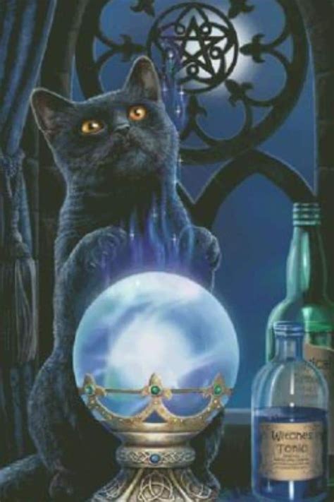 Pin By Charmaine Smit On Fantasy Art Black Cat Art Magic Cat Cat Art