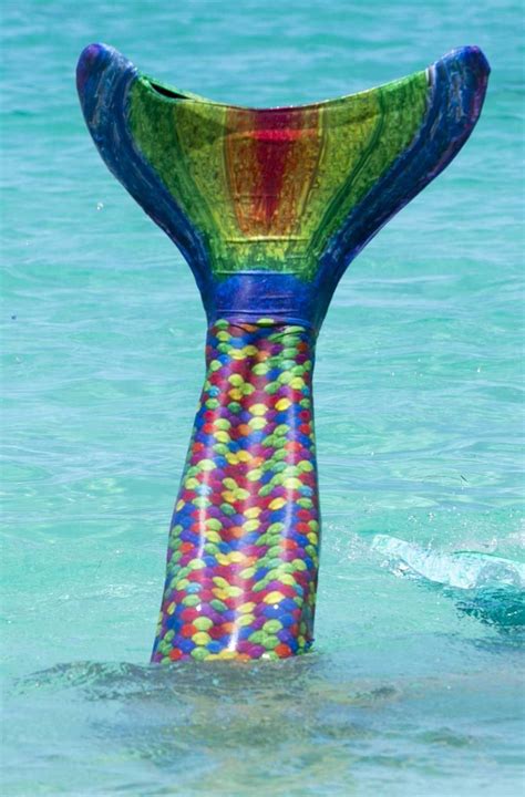 Rainbow Fin Fun Mermaid Tails Cool Product Review Articles Promotions And Buying Suggestion