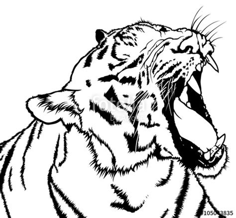Tiger Head Line Drawing Free Download On Clipartmag
