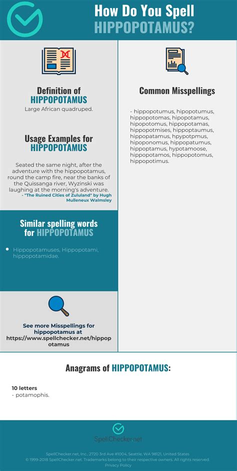 The plural of hippopotamus is hippopotamuses or hippopotami. Correct spelling for hippopotamus [Infographic ...