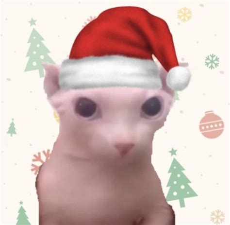 A Cat With A Santa Hat On It S Head