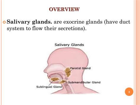 Solution Salivary Gland Disorders Studypool