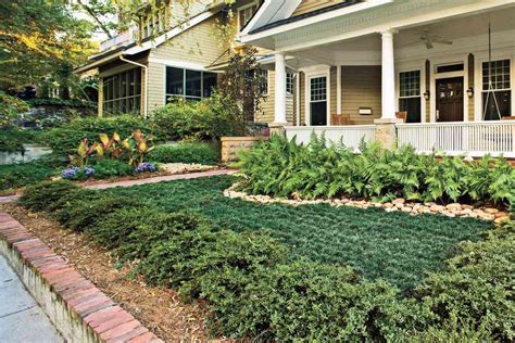 Easy No Mow Lawns Southern Living