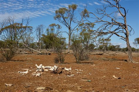 Australias Worst Drought In Recent Memory Explained