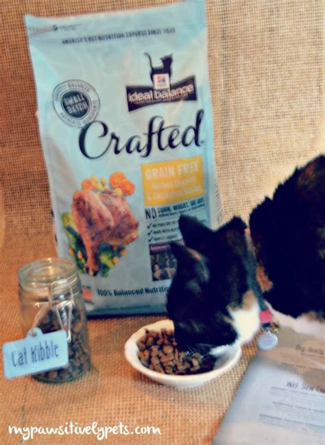 Find wet and dry hill's prescription diet for cats at petsmart. Artisan Crafted Small Batch Cat Food #InspiredbyCrafted ...