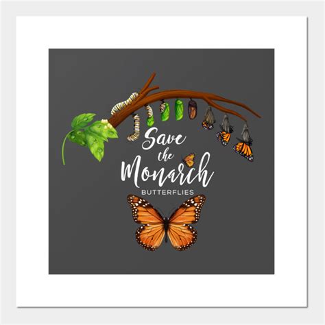 save the monarch butterflies save the monarchs posters and art prints teepublic