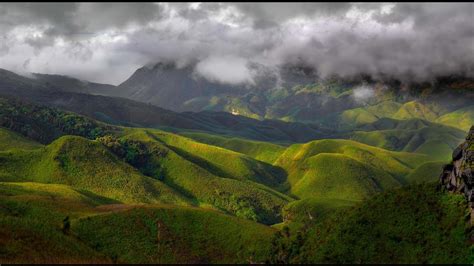 Hues Of Dzukou Valley Valley Of Flowers Nagaland North East