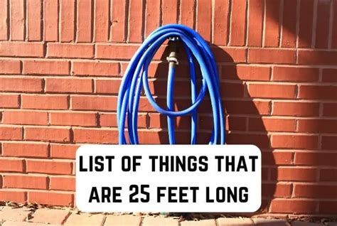 8 Everyday Things That Are 25 Feet Long Measuringly