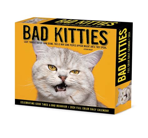 2024 Bad Kitties Daily Boxed Page A Day Calendar Us