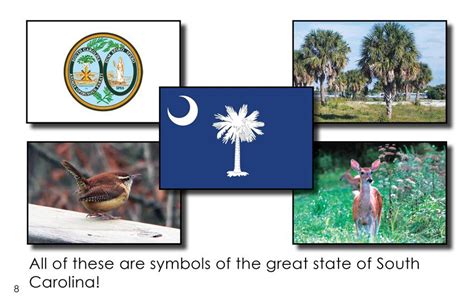 South Carolina State Symbols First Grade Book Wilbooks