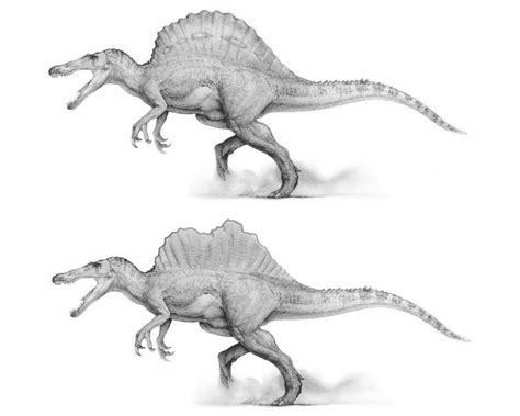 Jurassic Park 3 Spinosaurus Redesign V2 By Alangbandala On Deviantart