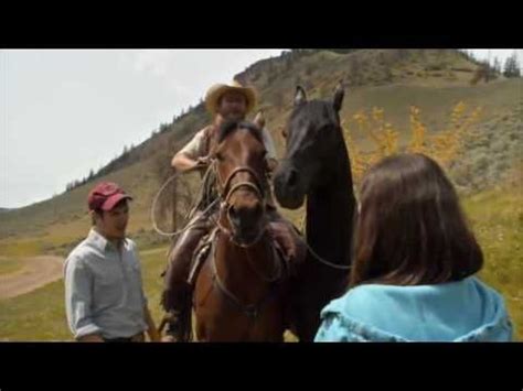 They form a special bond and she opens her heart to hank and a handsome. Flicka 2 Movie Trailer HD | Horse movies, 2 movie, Horses