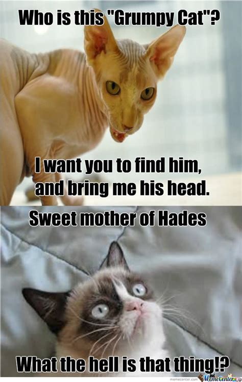 Pet ninja brings you another clean & funny cat memes video of 2019. 35 Most Funniest Grumpy Cat Memes On The Internet