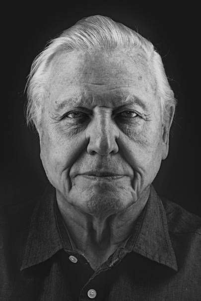 We did not find results for: The 48 people changing the way we travel | Portrait, David attenborough, Famous portraits