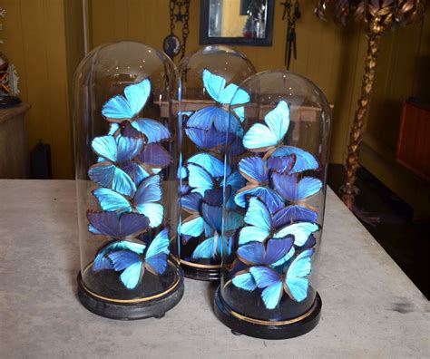 A butterfly theme is a beautiful and symbolic theme, representing the change from young lady to adult~. Butterflies | Quince themes, Sweet 16 centerpieces ...