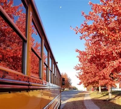 Springfield to spring mountain clockwise loop. Enter School Bus Fleet's Photo Contest - Management ...