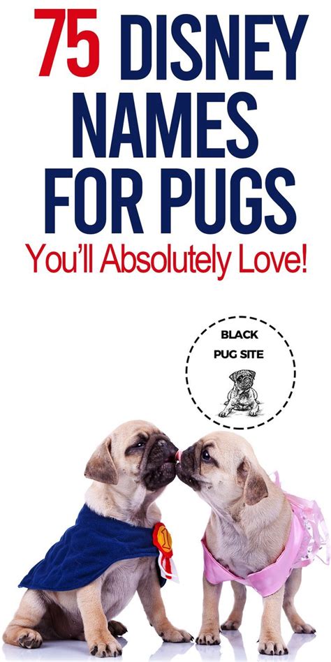 I bet she laughs in the face of danger. 75 Disney Names For Pugs That Will Inspire You in 2020 ...