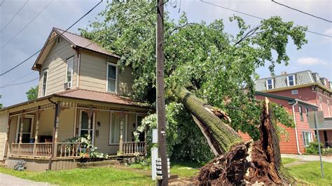 Severe Thunderstorms Cause Widespread Wind Damage In The Area News