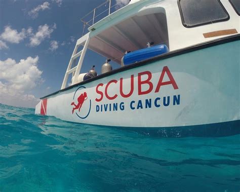 Scuba Diving Cancun Cancún 2022 Qué Saber Antes De Ir Lo Más Comentado Por La Gente