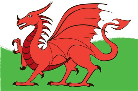 Welsh Dragon Digital Drawing Welsh Dragon Illustration