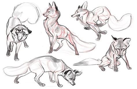 60 Animation Drawing Models Animal Sketches Canine Drawing Animal