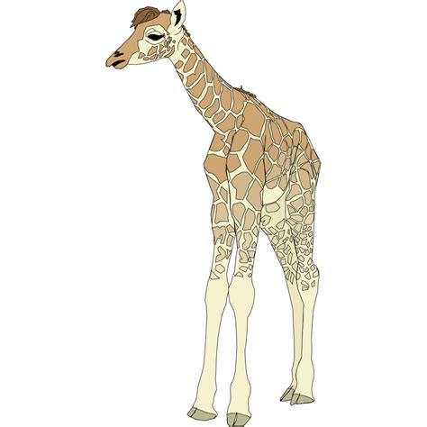 Baby Giraffe Svg 120 Svg Png Eps Dxf File