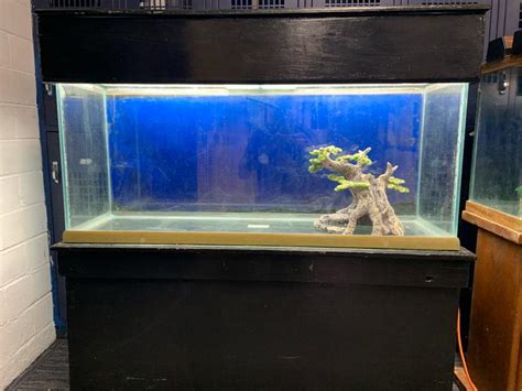 55 Gallon Aquarium Stand For Sale For Sale In Burleson Tx 5miles