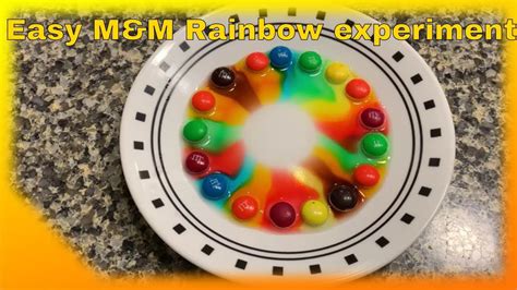 Mandm Rainbow Experiment For Kids Youtube