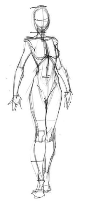 Woman Anatomy Reference For Drawing